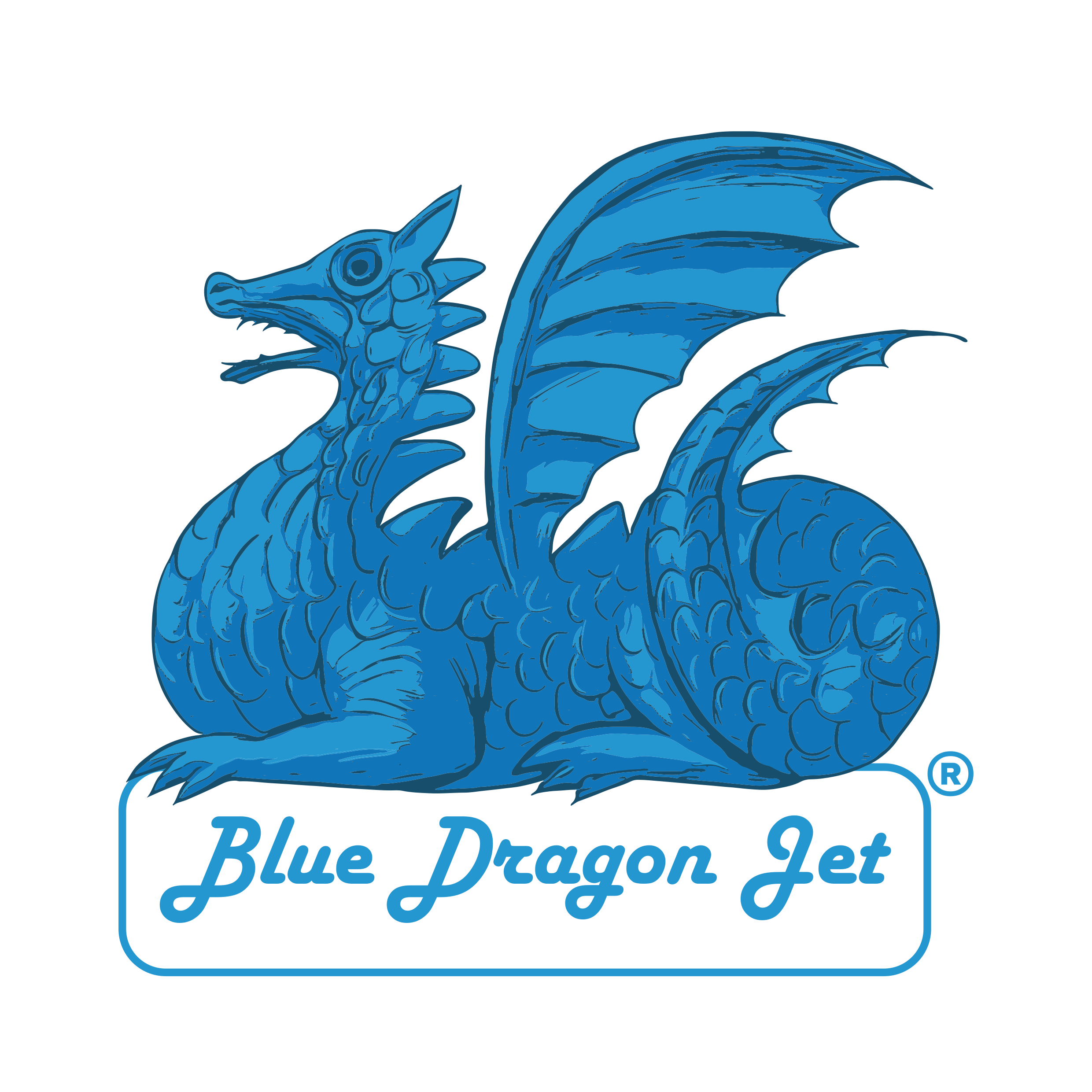 Blue dragon Jet Logo